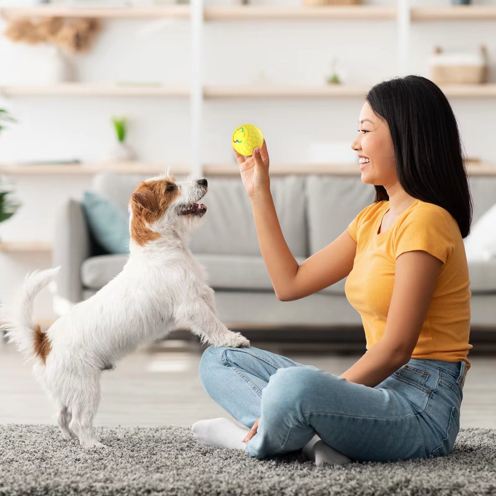 SmartBounce • Dog Toy Ball
