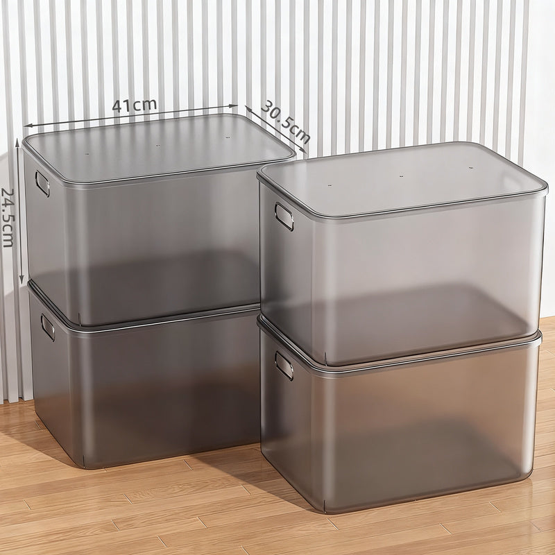 Transparent Plastic Storage Box