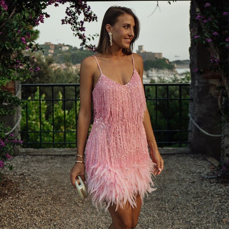Wearclo | Women's Feather Trim Mini Dress