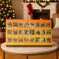 24-Piece Advent Calendar — Daily Holiday Countdown Set