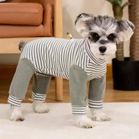 Dog Onesie for Post-Op Recovery & Skin Issues