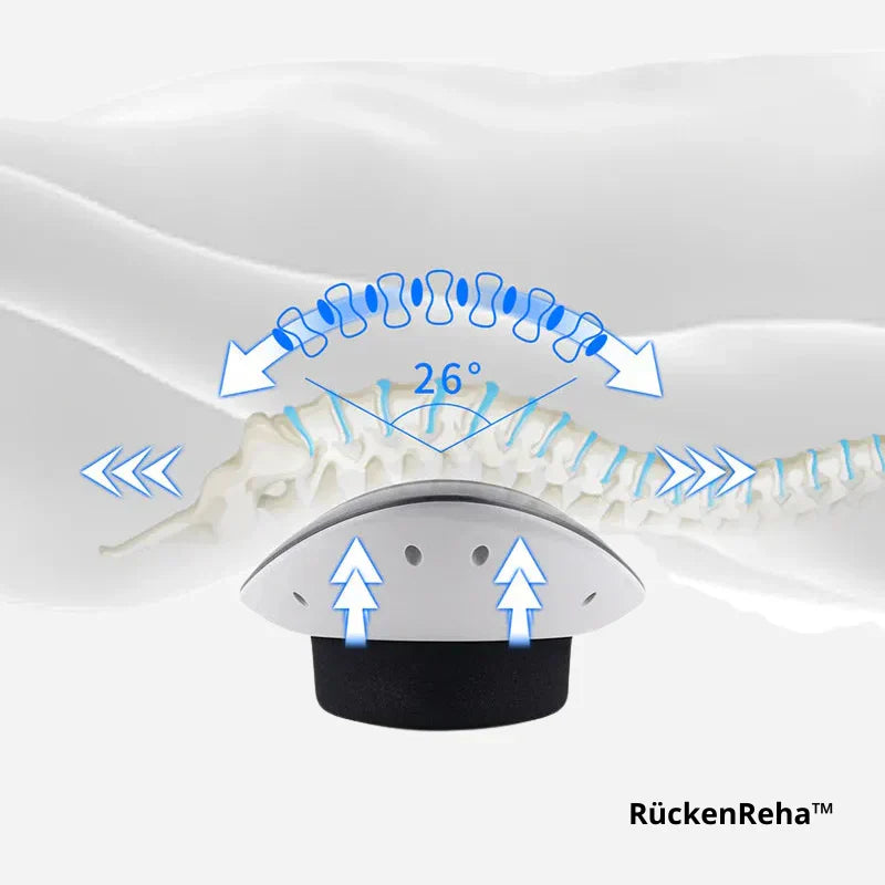 BackRehab™ Get Your Mobility Back