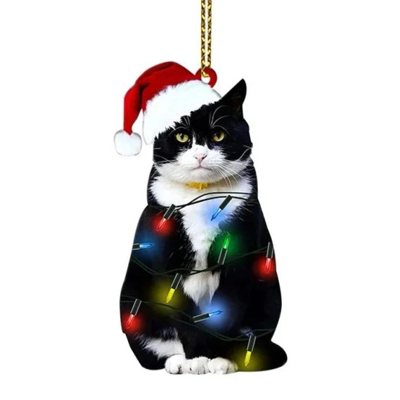 Black Cat Acrylic Disc Christmas Tree Ornament