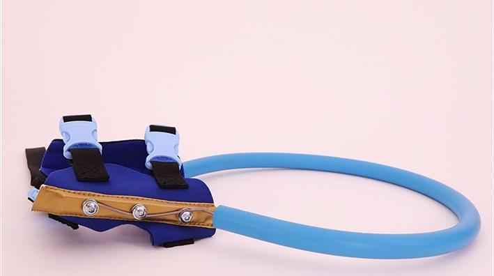 BrightGuide Bumper Collar Harness For Blind Dogs Daily Walk