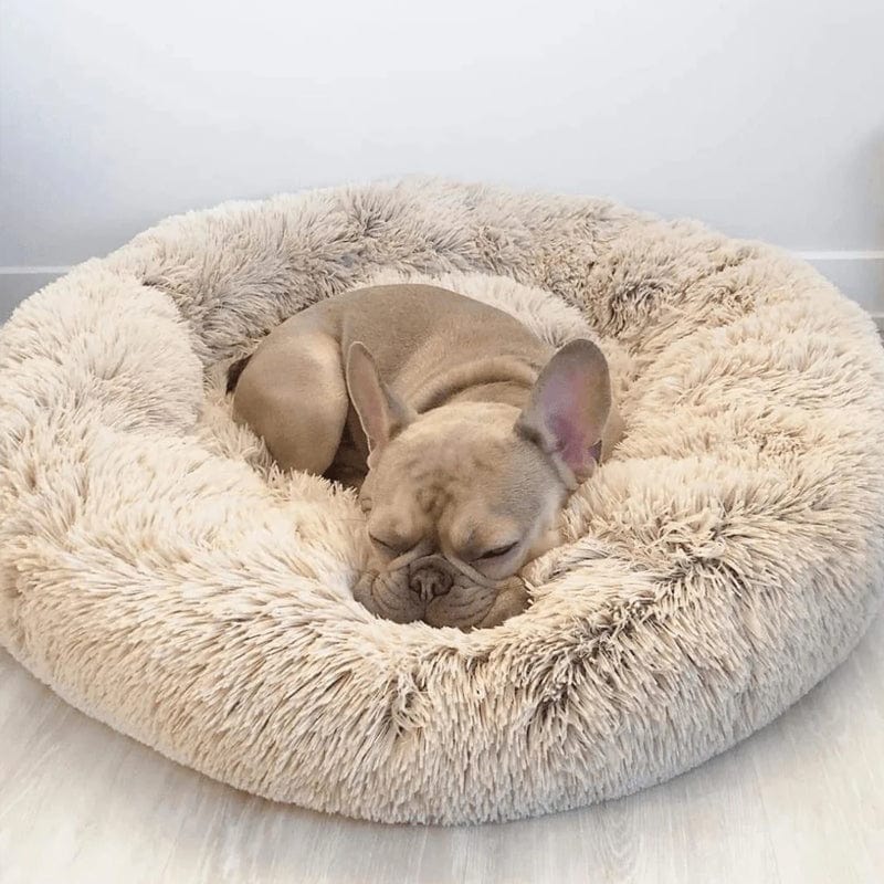Calming Bed for Dogs and Cats with Elevated Edges