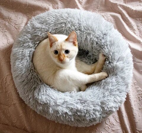 Calming Bed for Dogs and Cats with Elevated Edges