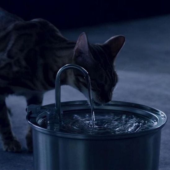 cat water fountain | FRESH WATER