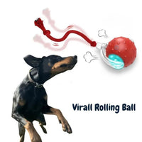ChewRoll Interactive Pet Roller Toy