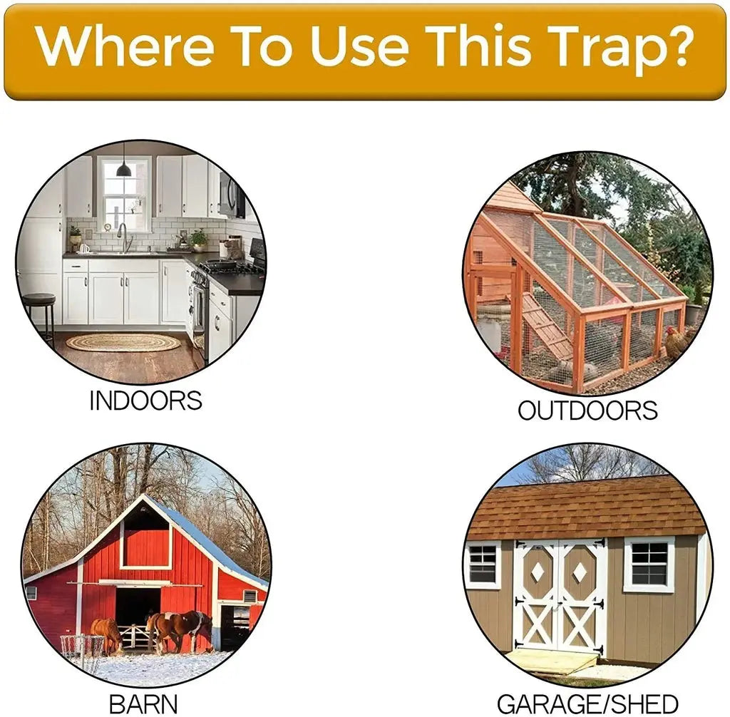 CleanCatch™ - Non-Toxic Bucket Lid Trap
