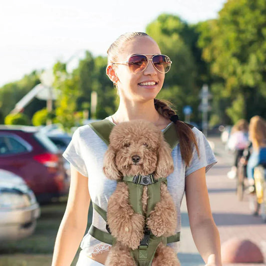 Dog Carrier Bag for Shoulder