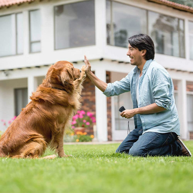 Dog Repellent | Powerful Ultrasonic Training and Anti-Barking Tool