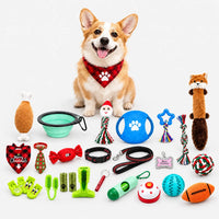 Dog Toy Advent Calendar