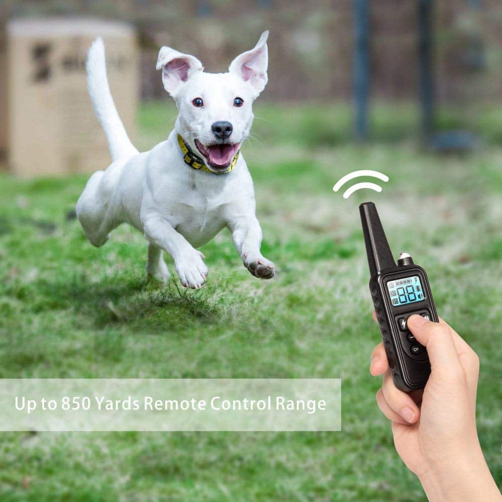 Electric Dog Training Collar with 800 m Range