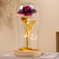 Eternal Rose in Glass Dome with LED Lights