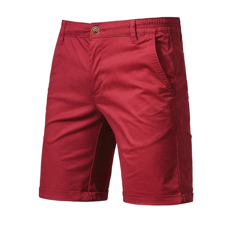Hector | Men's Elastic Waist Casual Shorts - Image 10