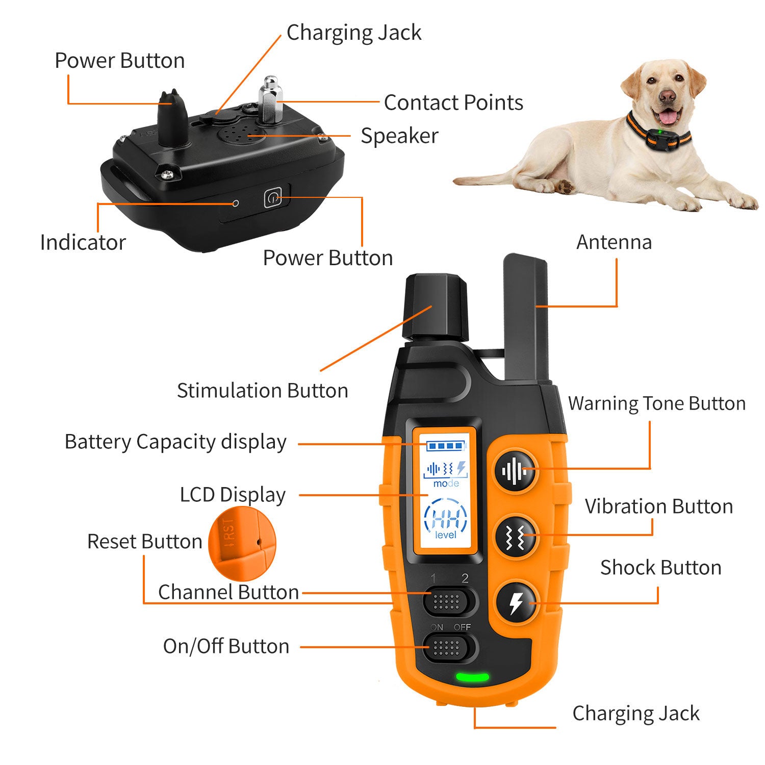 HydraPaw Pro Waterproof Remote Dog Training Collar Outdoor