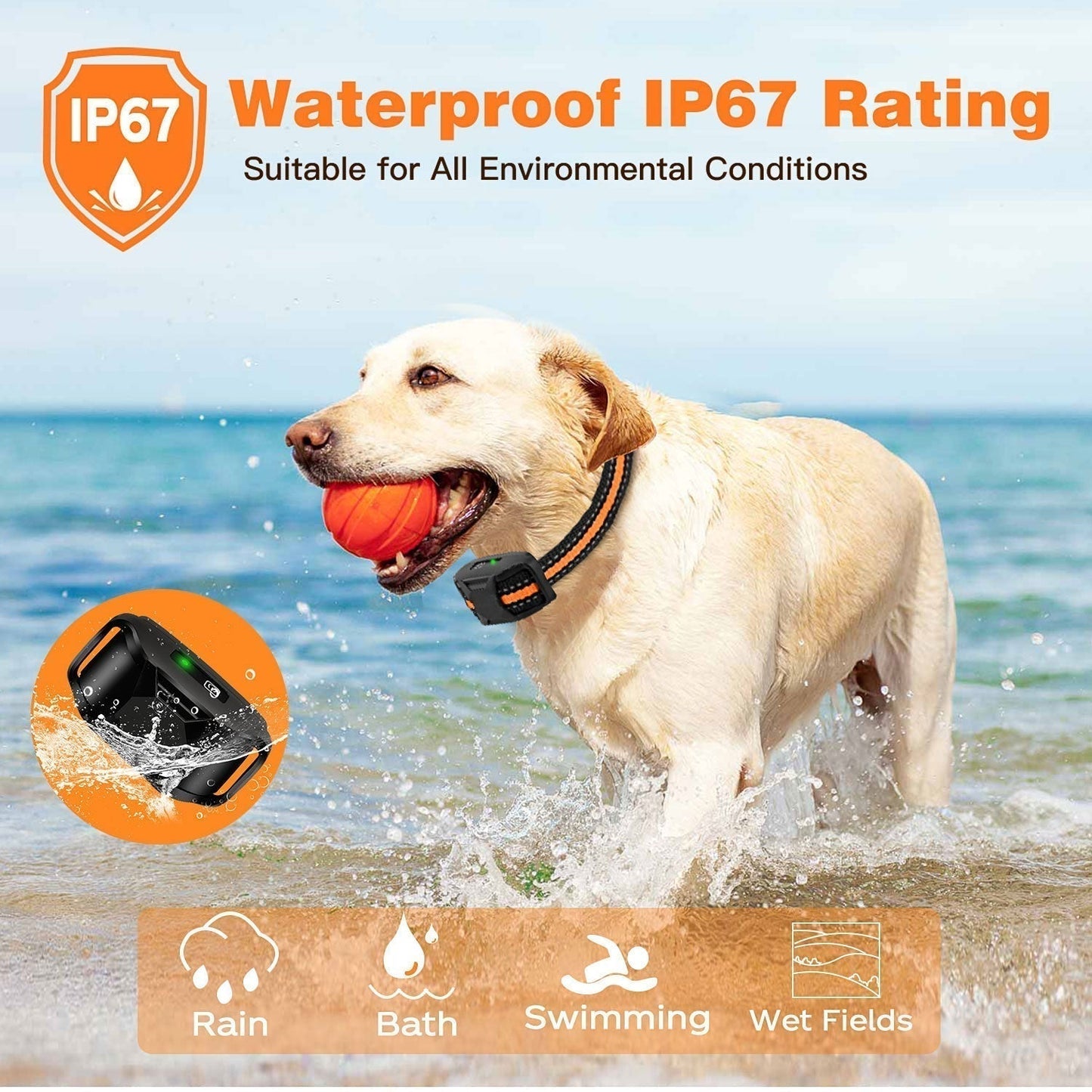 HydraPaw Pro Waterproof Remote Dog Training Collar Outdoor