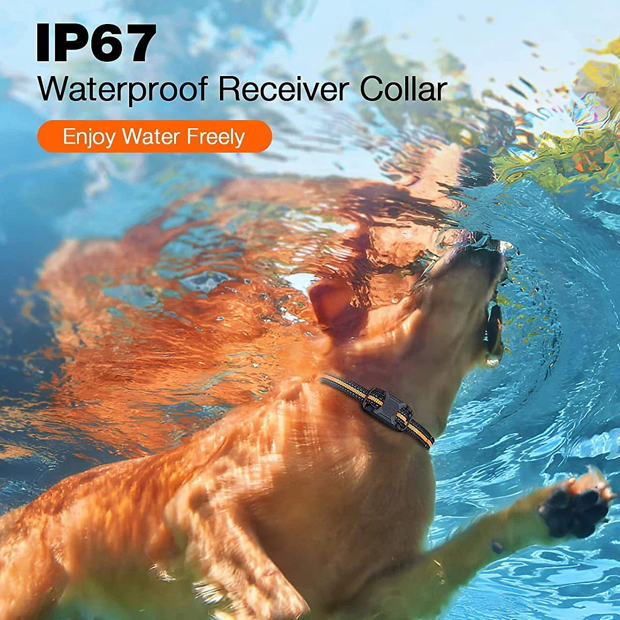 HydraPaw Pro Waterproof Remote Dog Training Collar Outdoor