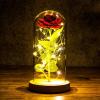 Glass Dome Enchanted Rose with Lights