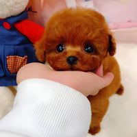 LieberTeddy™ Realistic Companion Toy