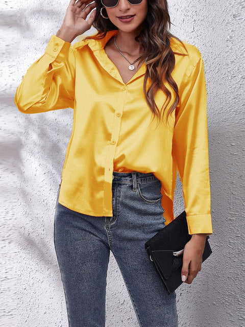 Long Sleeve Elegant Shirt