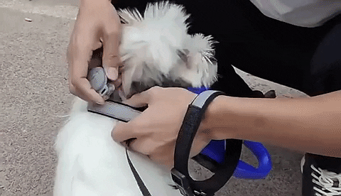 NovaTrail GPS Dog Locator And Activity Tracker Pro Plus