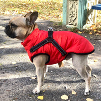 PawShield™ All-Season Dog Vest with Harness