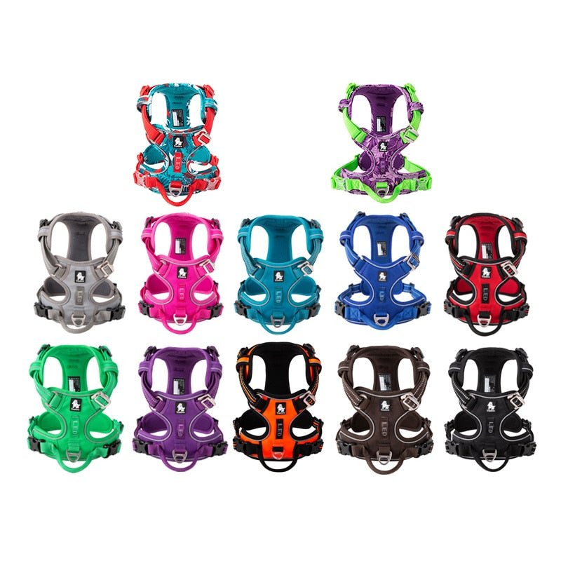Reflective Dog Harness | Adjustable Collar with Reflective Details for Safety