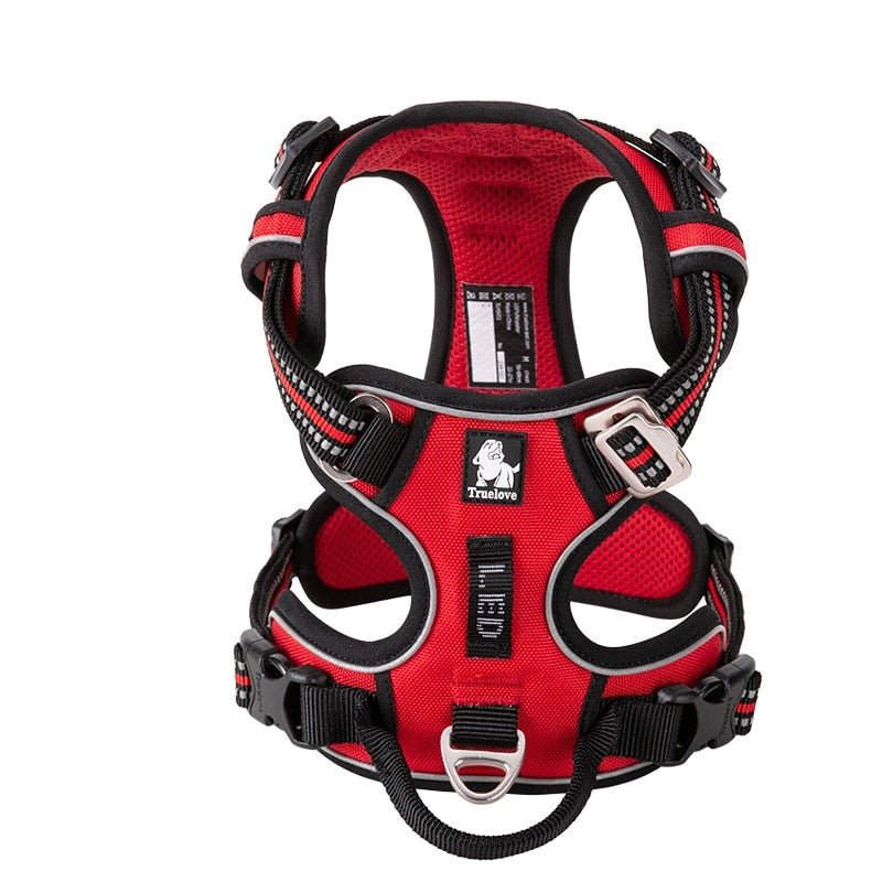 Reflective Dog Harness | Adjustable Collar with Reflective Details for Safety