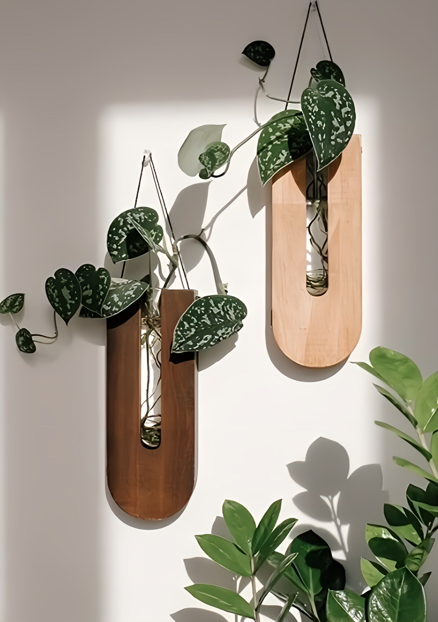 Rustic Wood Wall Plant Holder Set