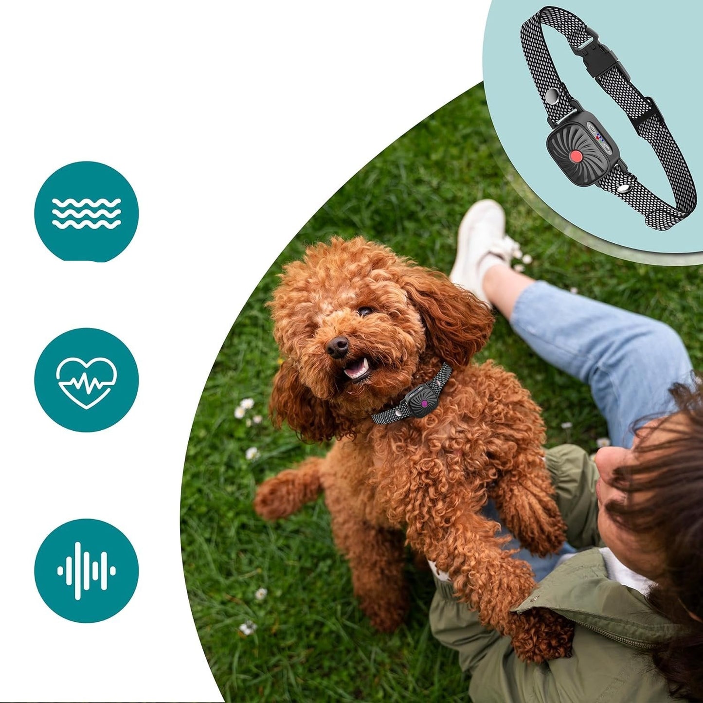 Safe Collar for Bark Reduction
