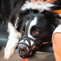 SafeBark Adjustable Dog Muzzle for No Barking