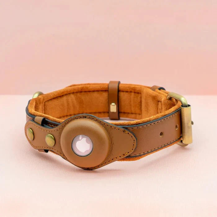 SafeTrack • Premium AirTag Dog Collar