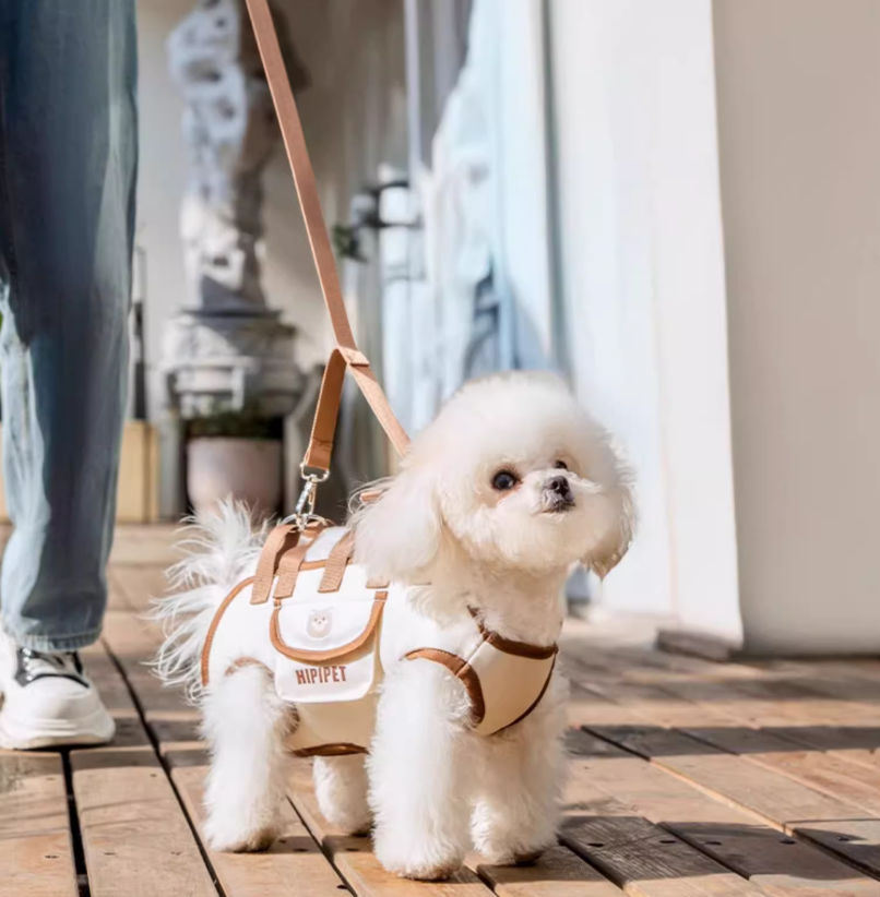 SpineCare Pet Carrier™ — End Your Dog’s Pain with Soft, Supportive Comfort Everywhere You Go