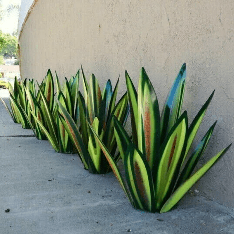 Stylish decorative Agave lamp highlights the natural beauty of the space