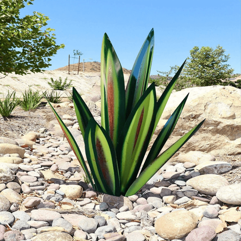 Stylish decorative Agave lamp highlights the natural beauty of the space