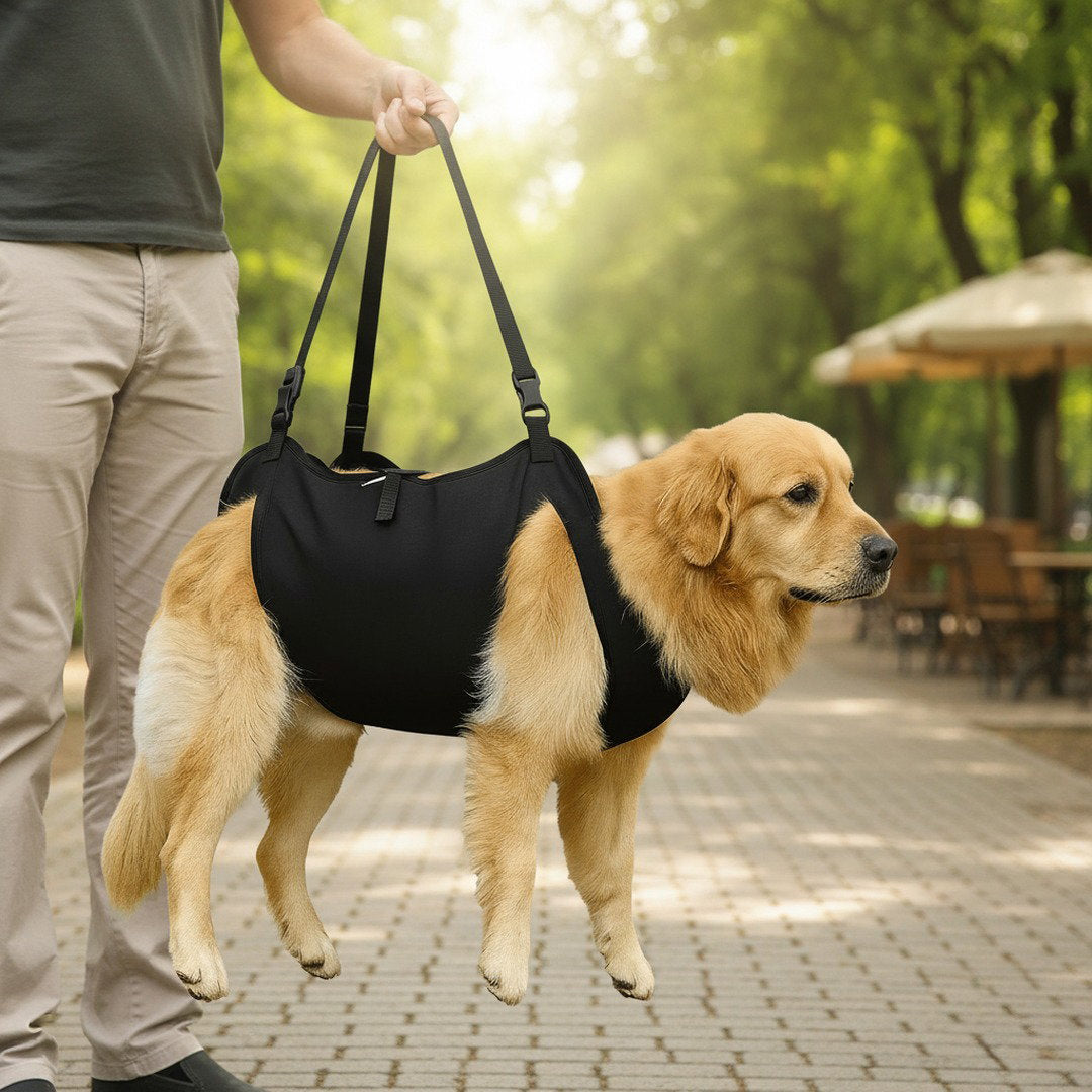 Supportive Dog Harness with Lift Strap for Stairs & Walks