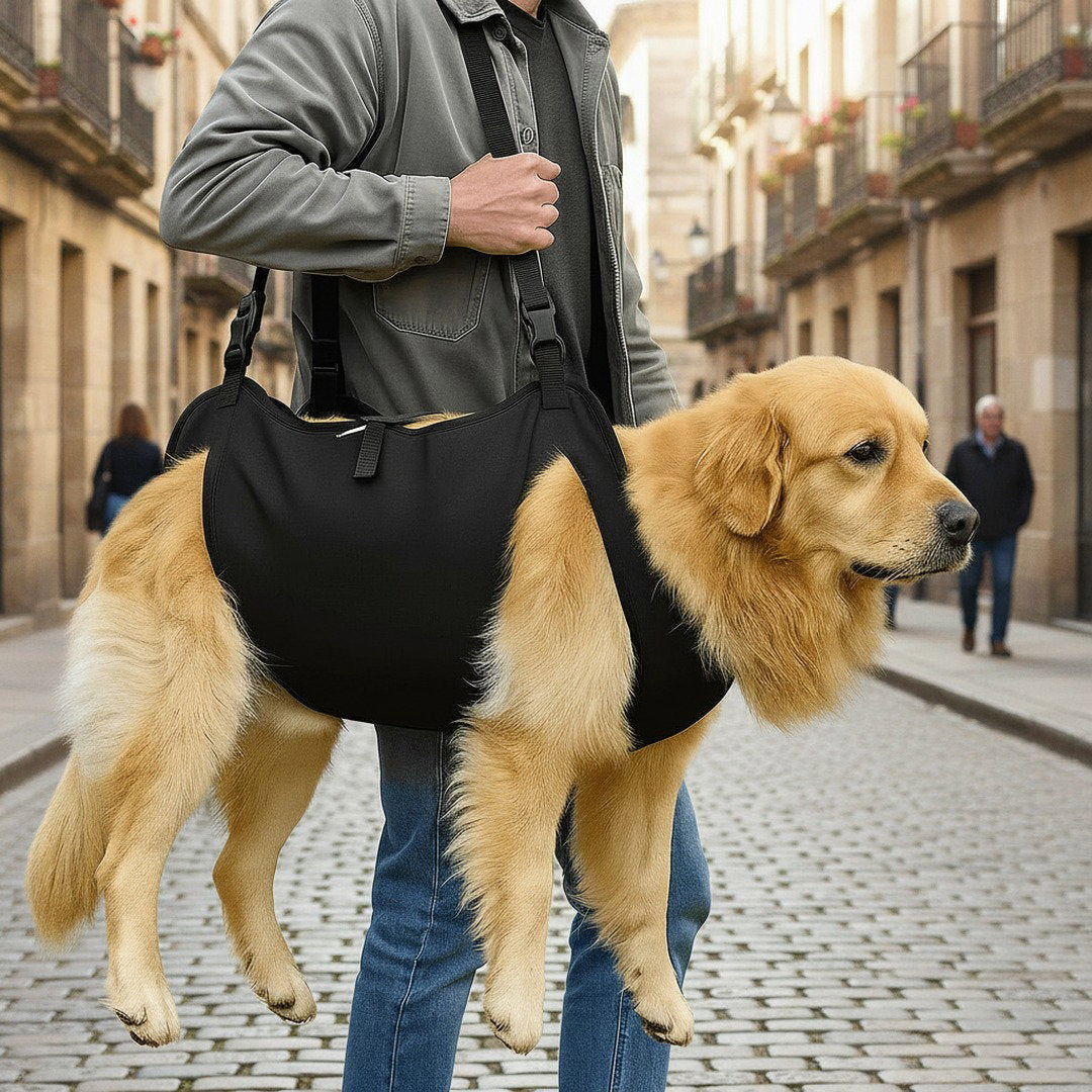 Supportive Dog Harness with Lift Strap for Stairs & Walks