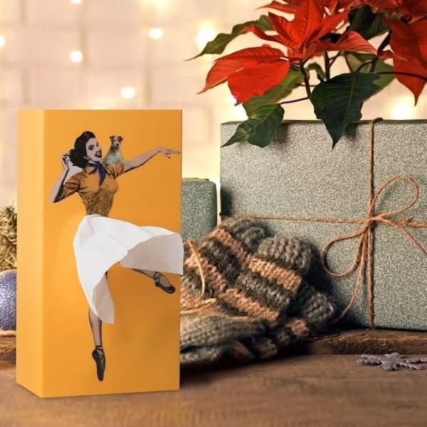 TISSUDANCE – Playful Rock Tissue Box for Creative Home Decoration