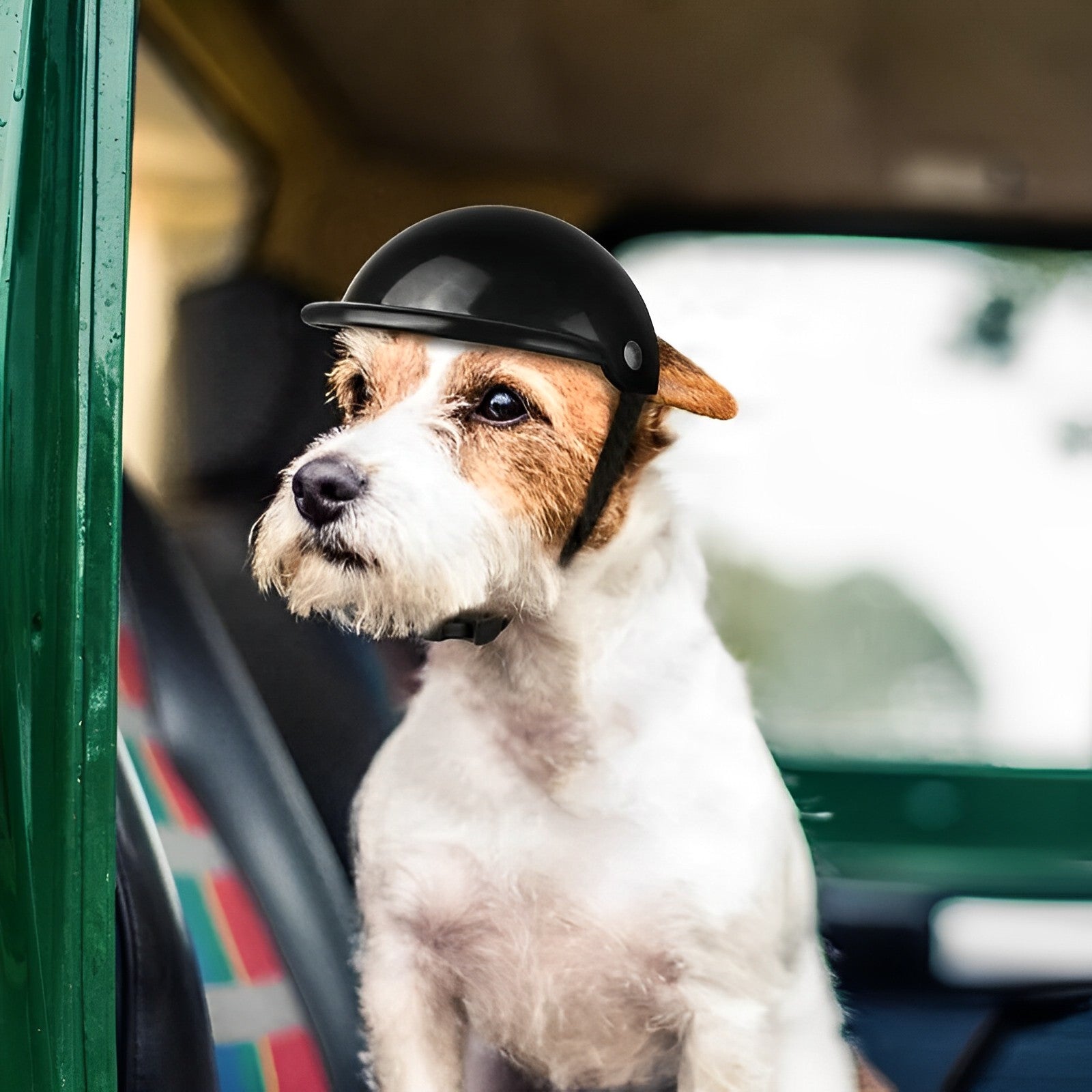 TrailPup Moto Helmet and Goggles for Dogs Safe Fit Riding