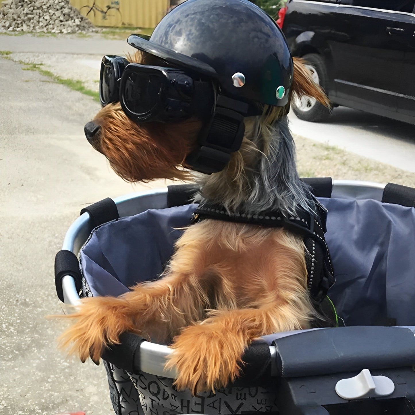 TrailPup Moto Helmet and Goggles for Dogs Safe Fit Riding