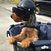 TrailPup Dog Helmet & Goggles Set for Secure Motorcycle Rides