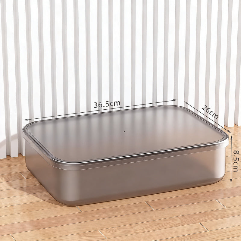 Transparent Plastic Storage Box
