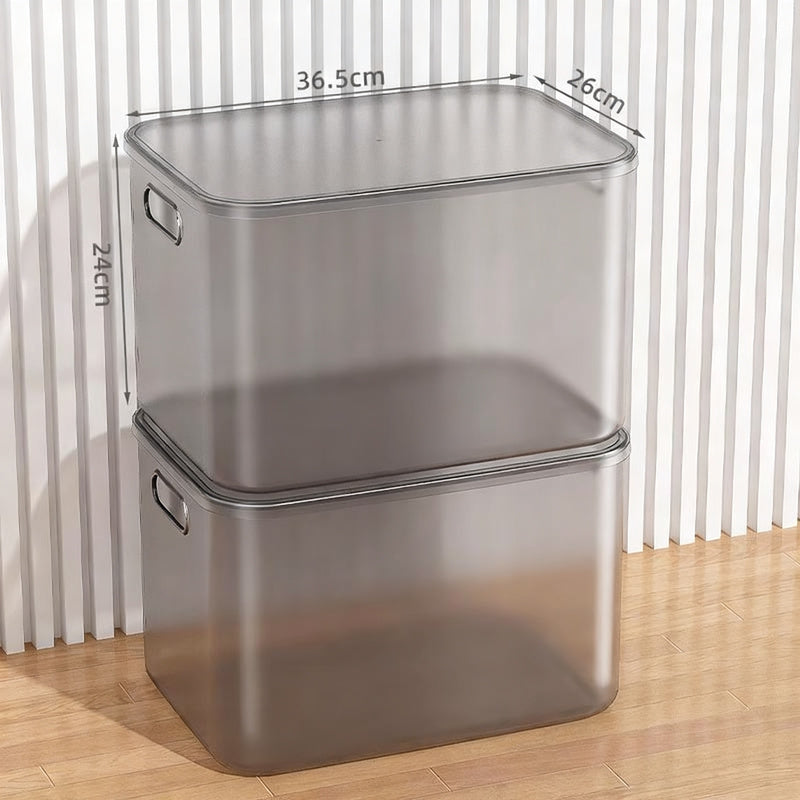 Transparent Plastic Storage Box