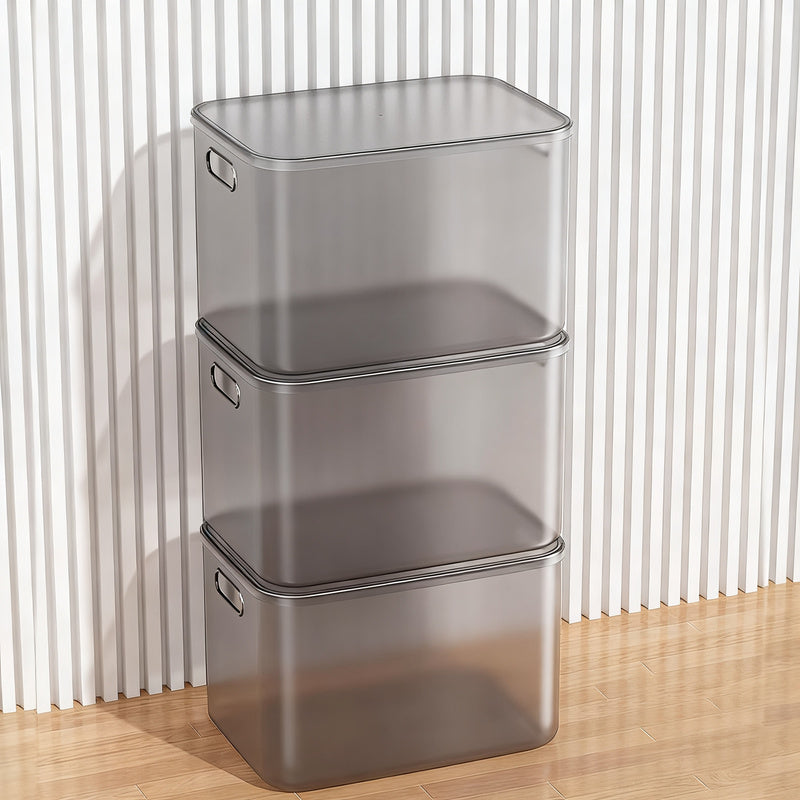 Transparent Plastic Storage Box