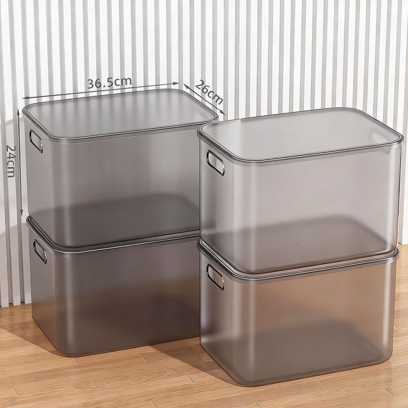 Transparent Plastic Storage Box