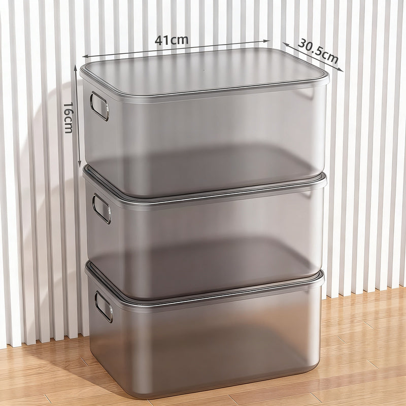 Transparent Plastic Storage Box