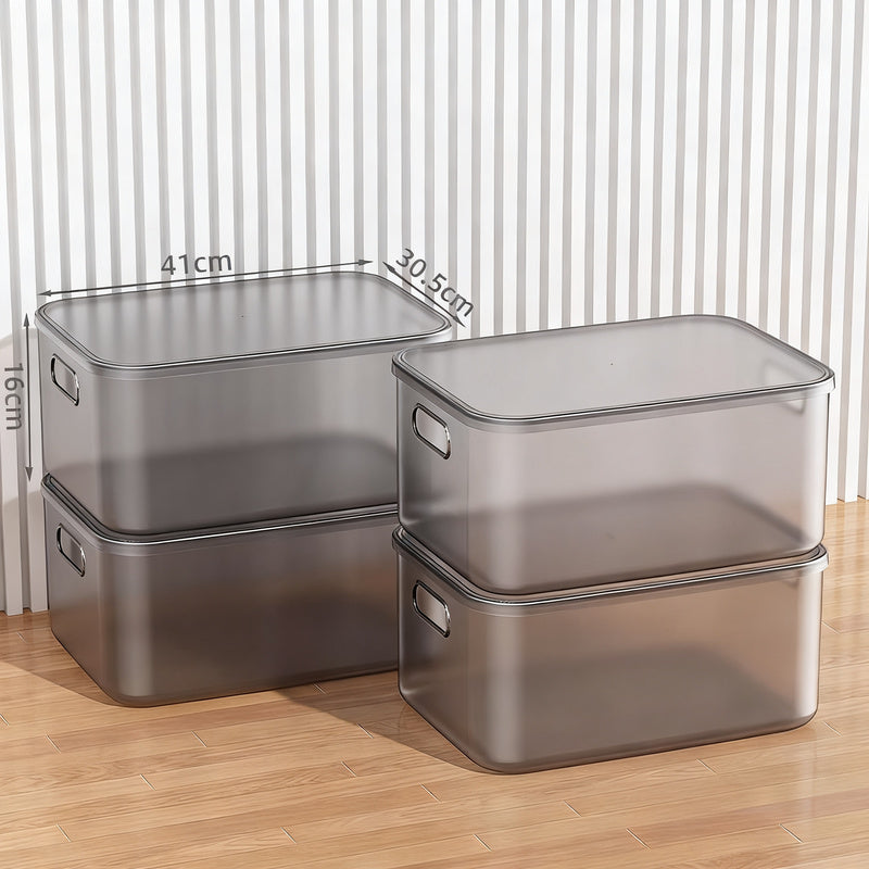 Transparent Plastic Storage Box