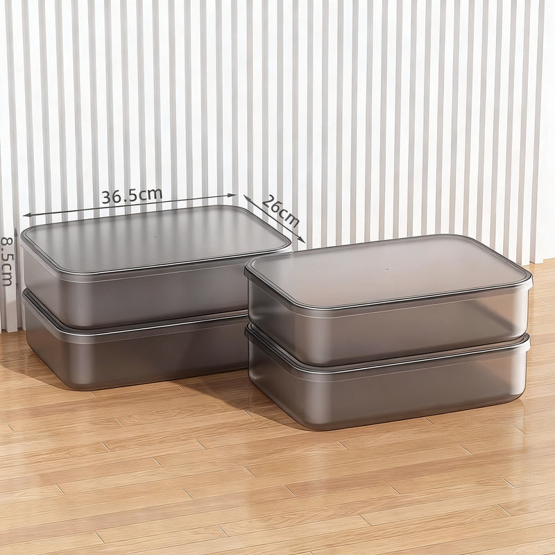 Transparent Plastic Storage Box