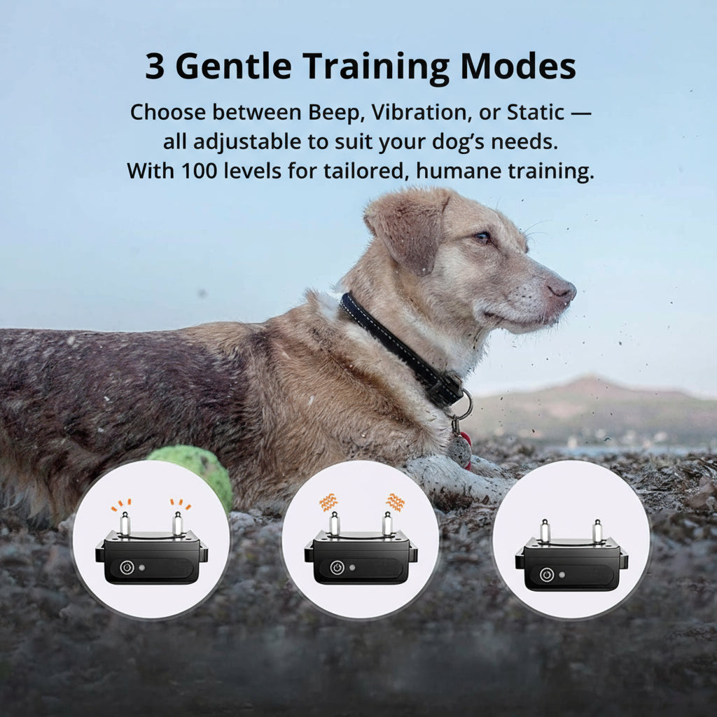 Wearclo | 1000m Waterproof Dog Training Collar | Rechargeable, Remote Control & Adjustable for Small, Medium, and Large Dogs